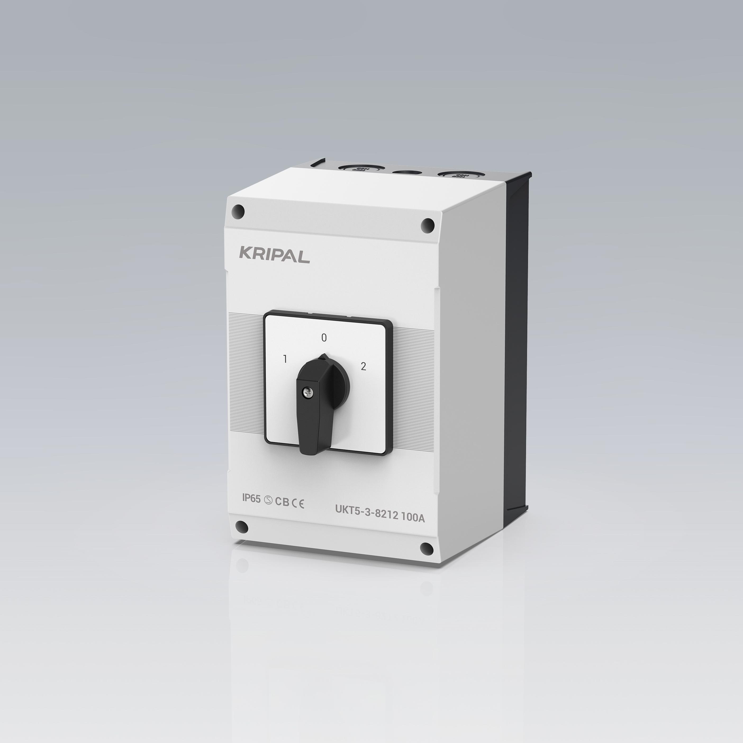 IP65 IEC Single Phase 63A Rotary Cam Changeover Selector Switch