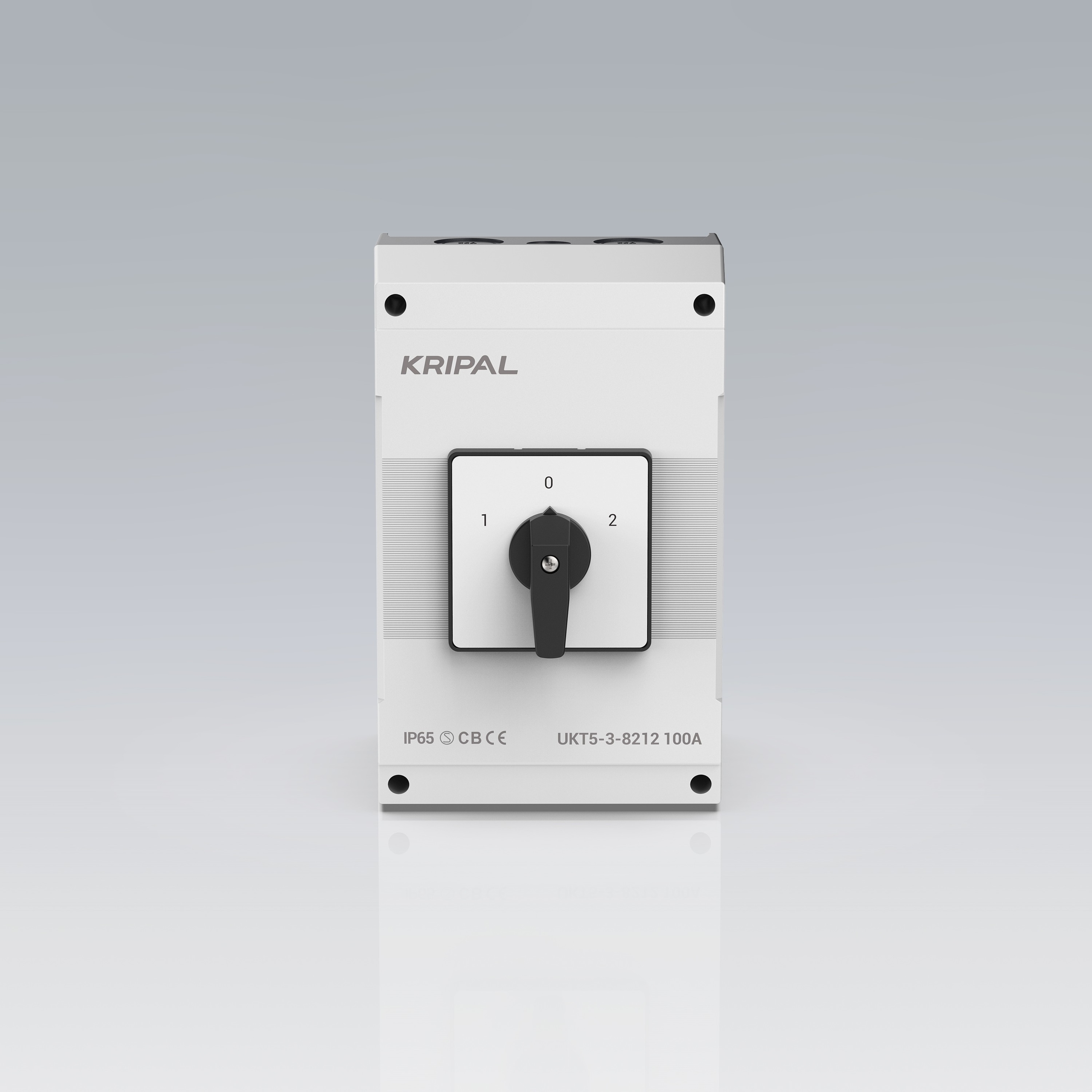 IP65 IEC Single Phase 63A Rotary Cam Changeover Selector Switch