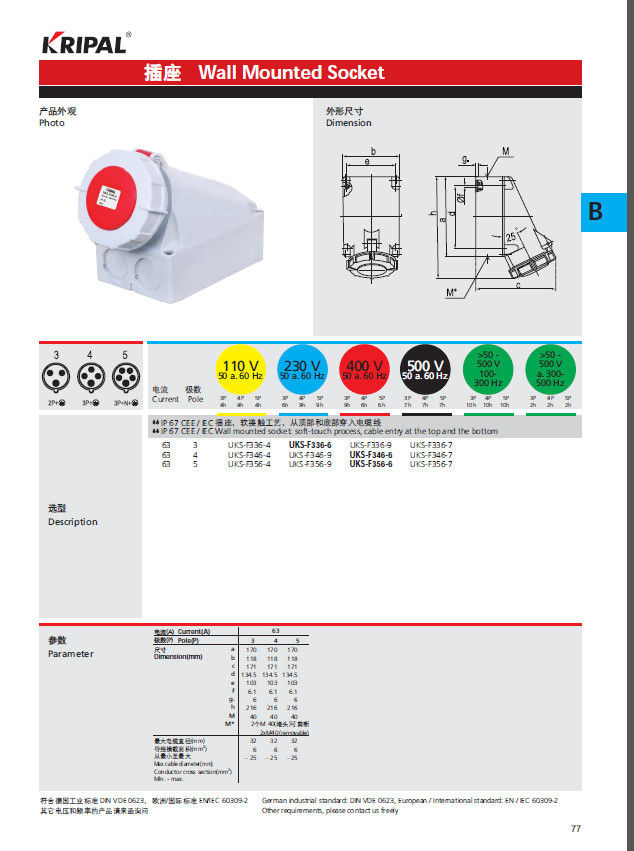 Wall Mounting 63A 3P 230V Surface Socket Outlets